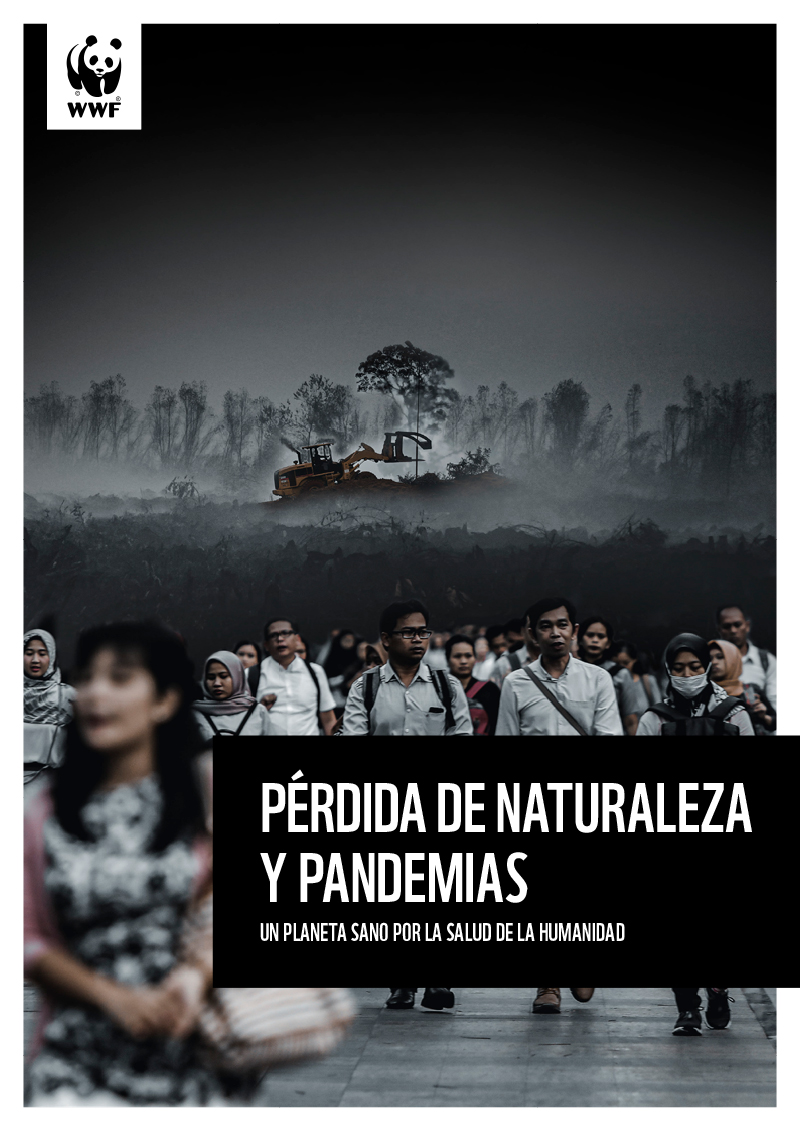 Pérdida De Naturaleza Y Pandemias Un Planeta Sano Por La Salud De La Humanidad Wwf España 3716