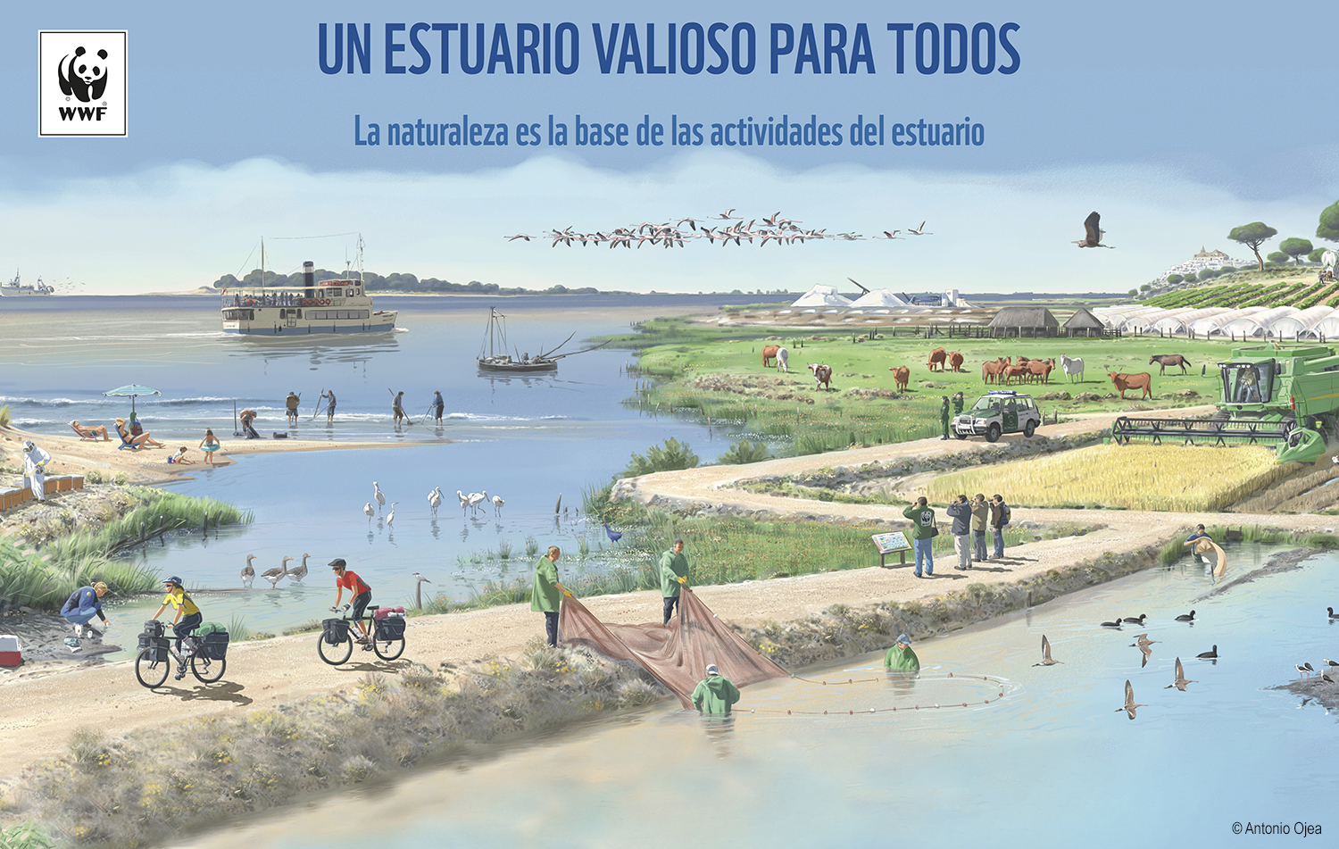 Wwf Destaca El Potencial Del Estuario Del Guadalquivir Para - 