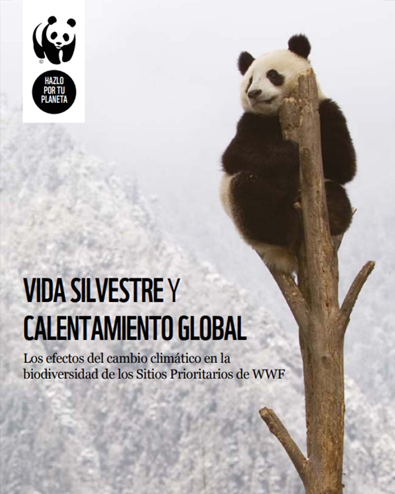 Vida Silvestre Y Calentamiento Global Wwf Espana