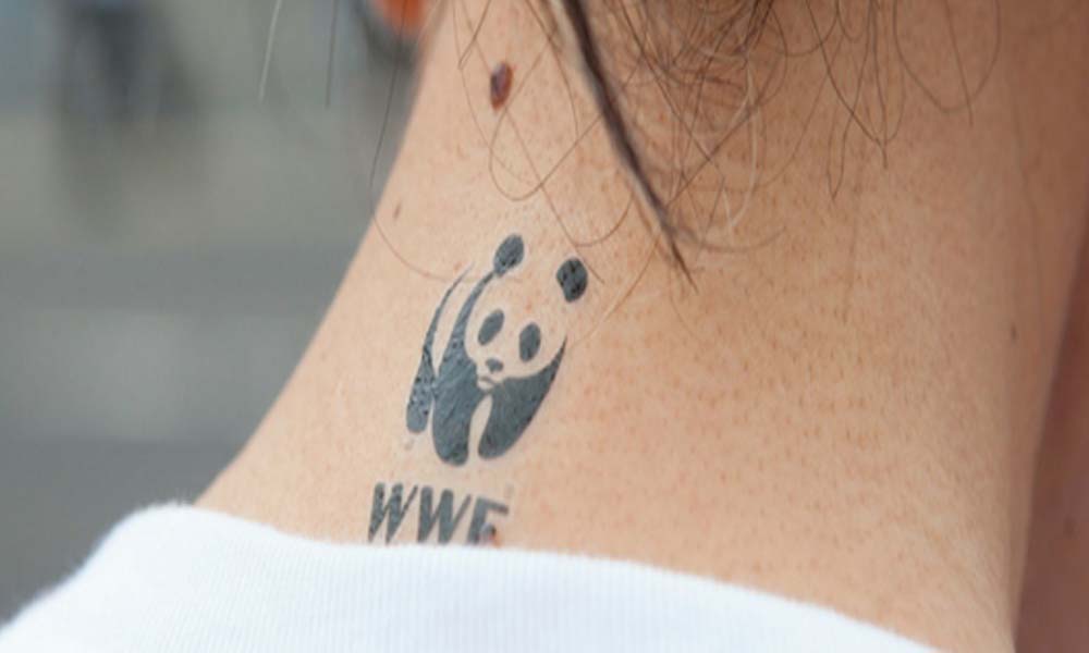 Un panda muy famoso - Somos | WWF España
